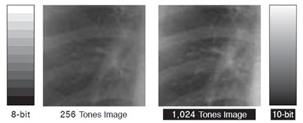 10bitgray.jpg